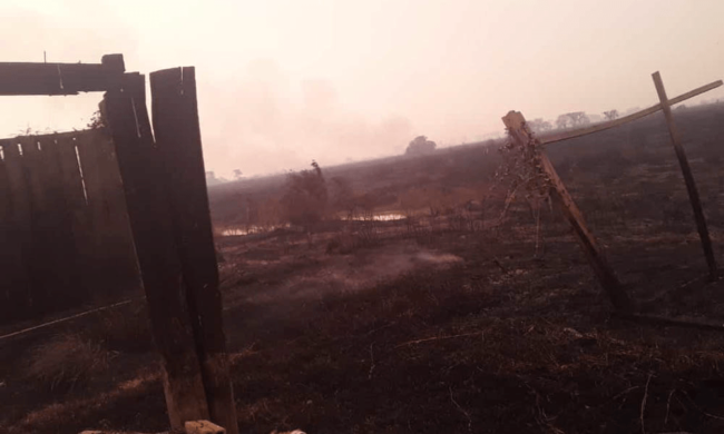 4guato_capa guato_capa