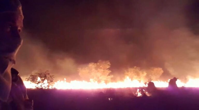Reproduction of video recorded by a firefighter on September 20, 2020 showing a fire in Mata do Mamão.