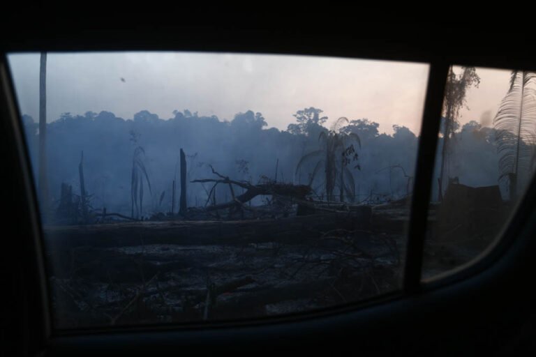 Queimada na Terra Indígena Cachoeira Seca