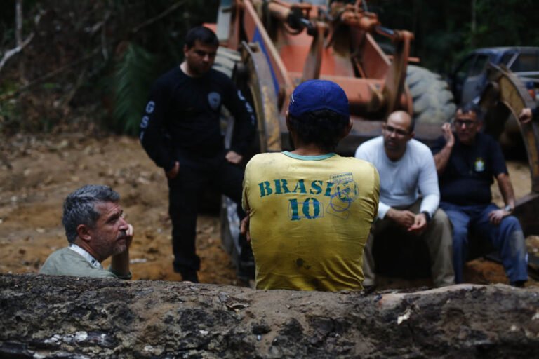 Auditores fiscais resgatam trabalhadores escravizados na extração de madeira