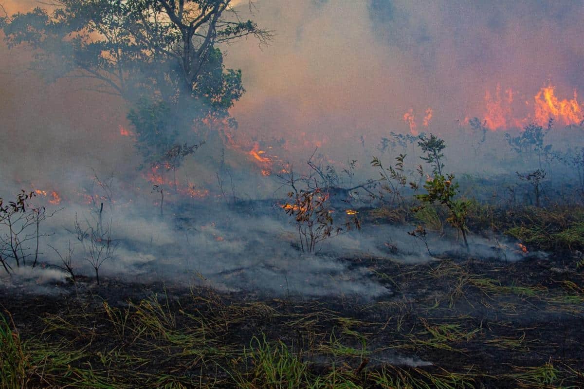 Fires in veredereiras communities' territories in Bonito, Minas Gerais ...