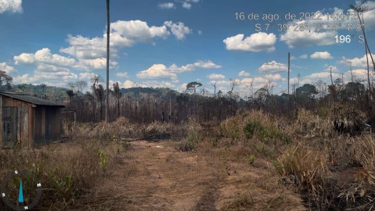 Fires invaded the Terra Nossa PDS, leaving a trail of destruction. Photos: CPT-BR-163 archive