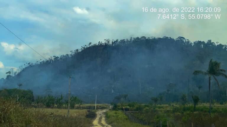 Fires invaded the Terra Nossa PDS, leaving a trail of destruction. Photos: CPT-BR-163 archive