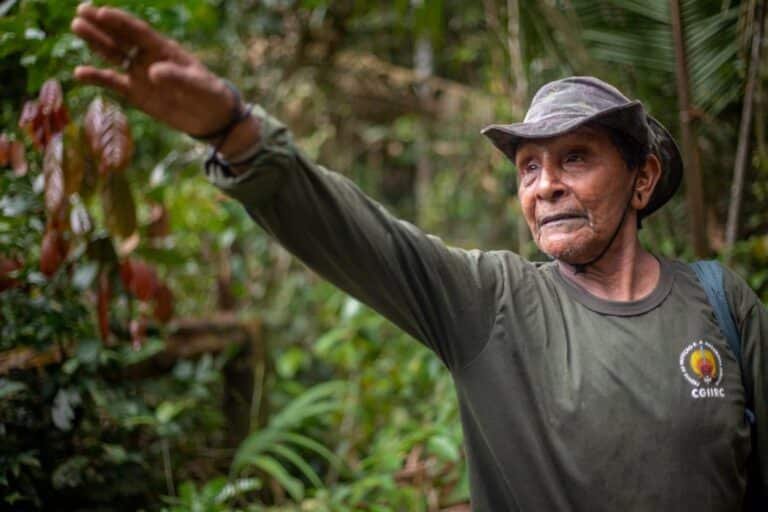 During a walk through the forest, Aripã, one of the Karipuna elders, points out where the indigenous persons found land grabbers and loggers. Photo: Tiago Miotto/Cimi