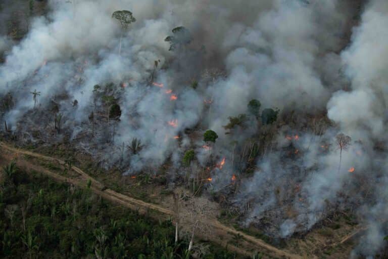 Deforestation in the Karipuna Indigenous Land, September 2021. Photo Christian Braga/Greenpeace
