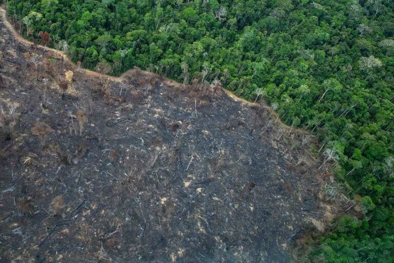 Deforestation in the Karipuna Indigenous Land, September 2021. Photo Christian Braga/Greenpeace